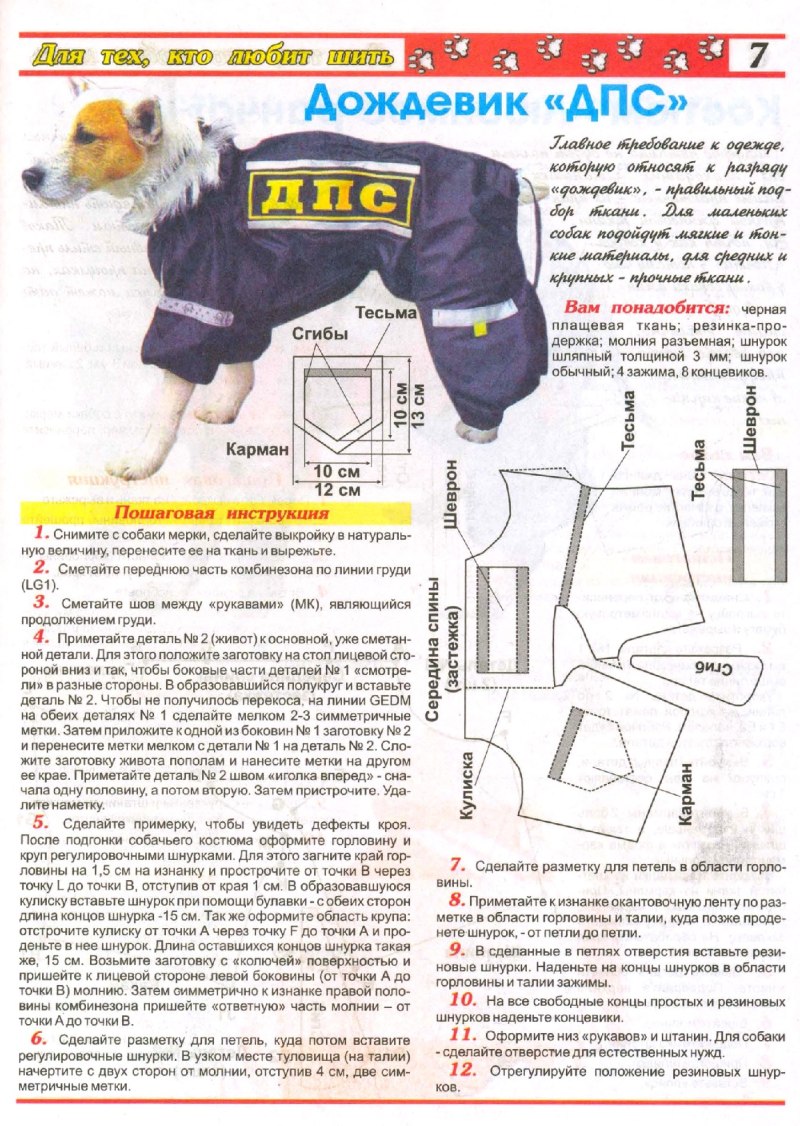 Выкройка комбинезона для собаки Джек Рассел