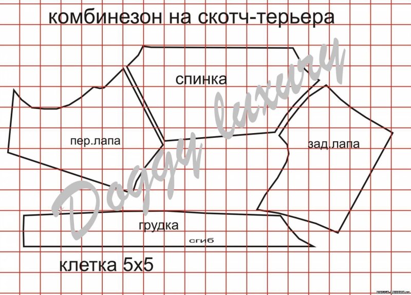 Выкройка комбинезона для собаки Джек Рассел