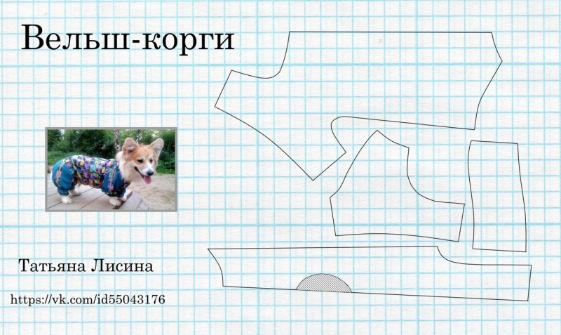 Выкройка одежды на собаку корги пемброк