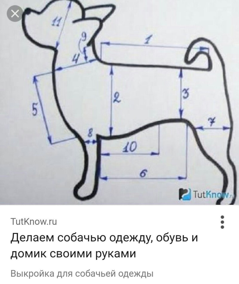 Лекала для пошива одежды для животных
