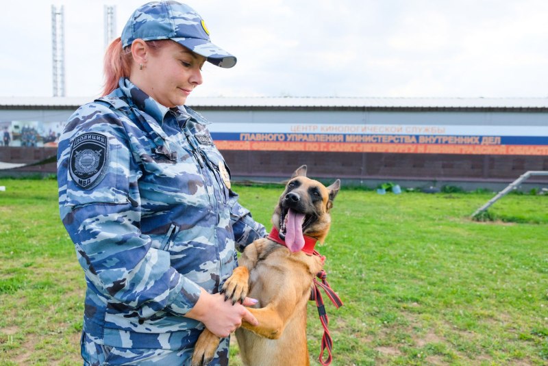 Генерал кинолог
