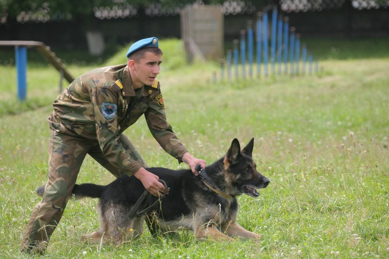Кинологический центр МО РБ
