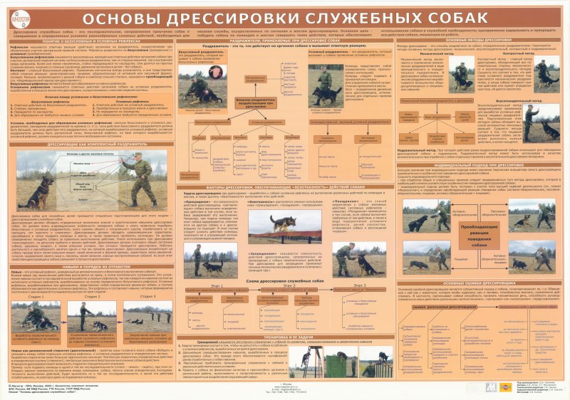 Основы дрессировки служебных собак