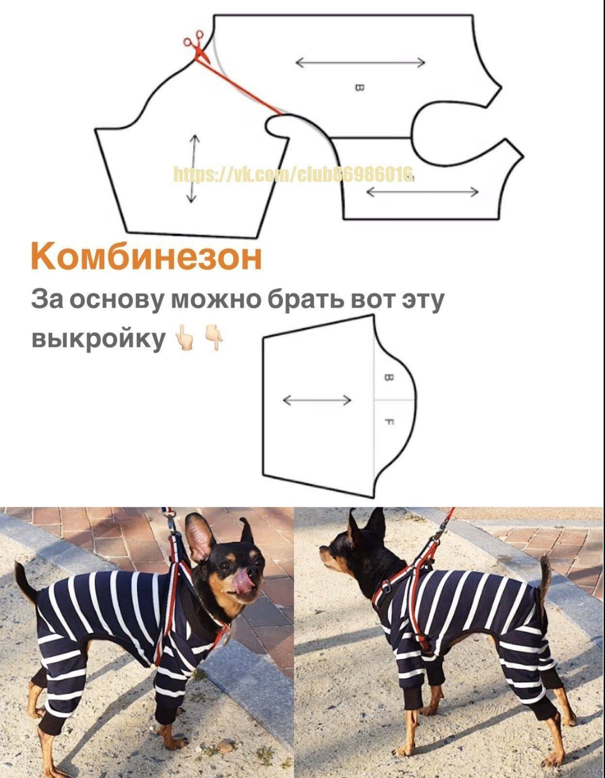 Выкройки комбинезонов для собаки: шьем одежду питомцам своими руками