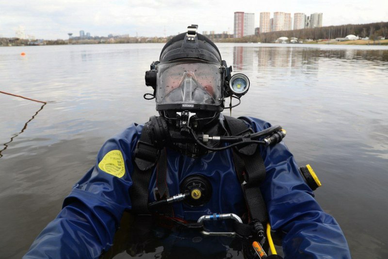 Ньюфаундленд водолаз