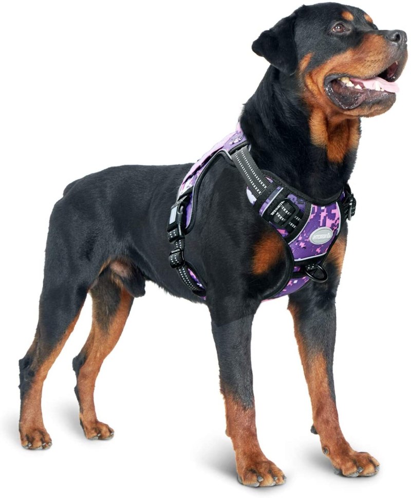 Dogger ошейник для собак