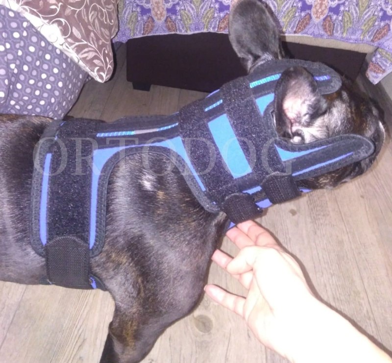 Puppia RITEFIT harness шлейка