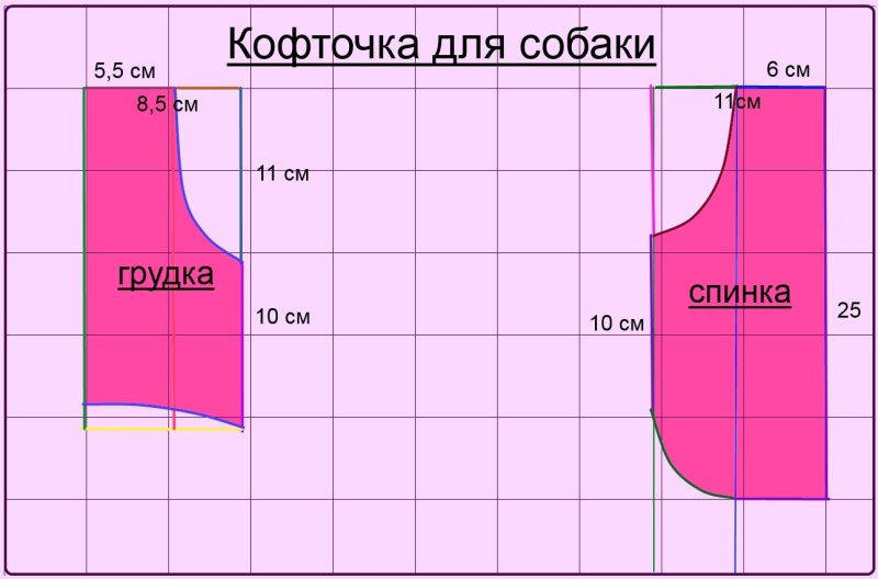 Выкройка кофты для собаки