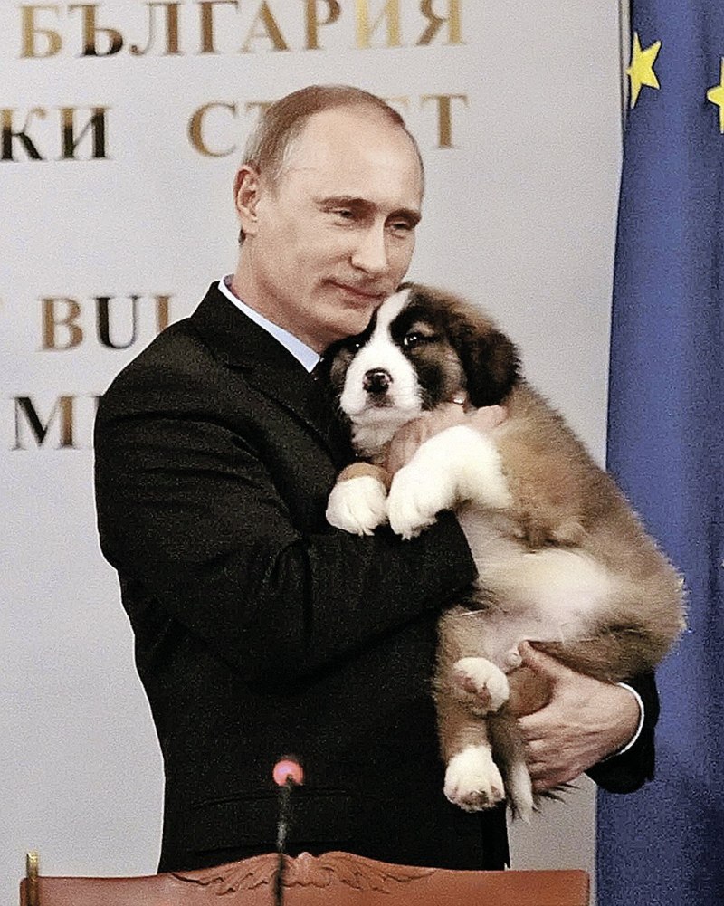 Алабай Путин Владимир Владимирович