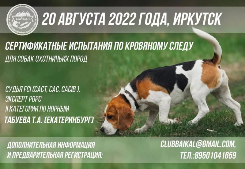 Испытания по кровяному следу 2022 год РКФ