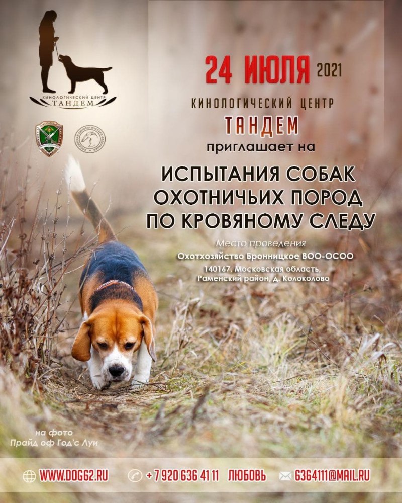 Испытания охотничьих собак по кровяному следу