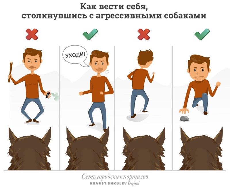 Правила поведения при нападении собаки