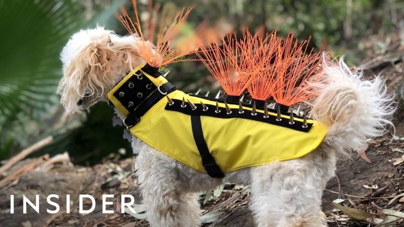 Собачьи костюмы Coyote Vest
