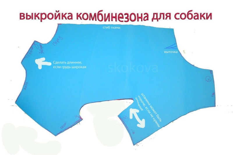 Комбинезон для кобеля вид снизу