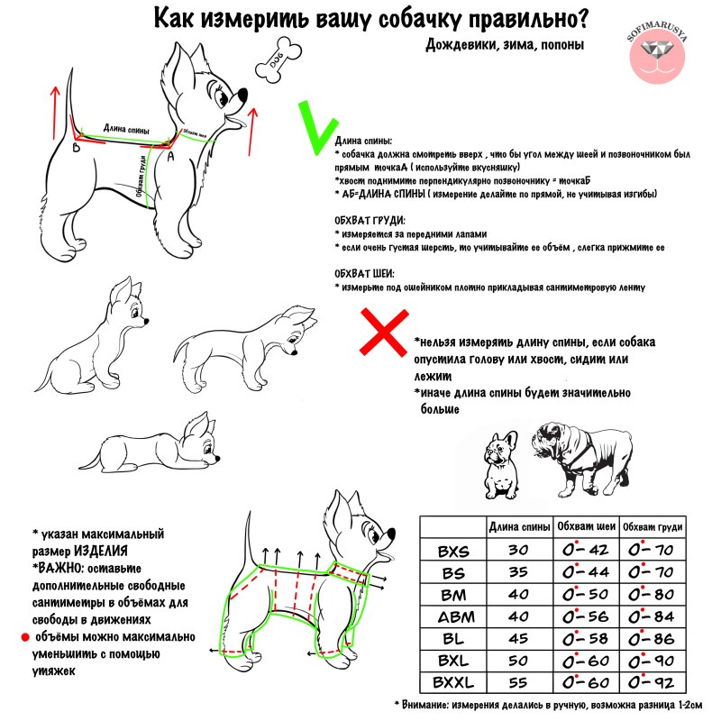Снять мерки с собаки