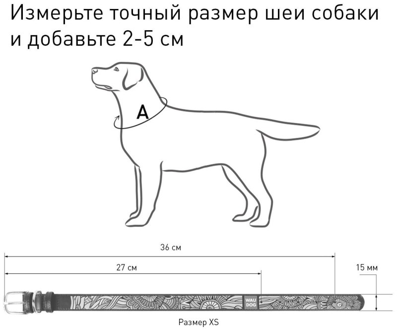 Ширина ошейника для собаки
