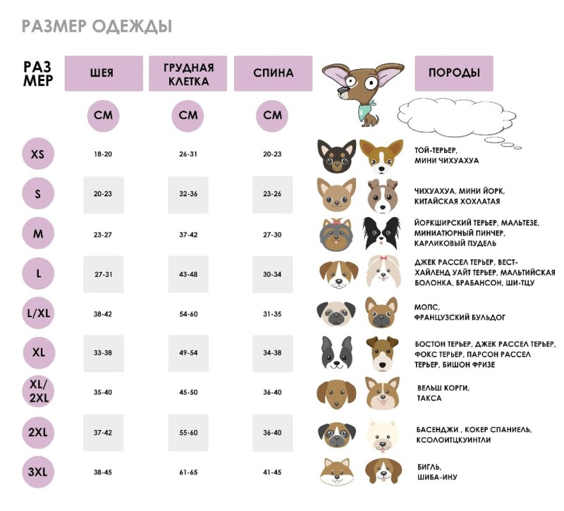 Размеры шапок для собак