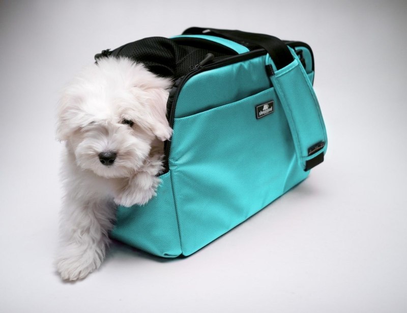 Sleepypod Air in-Cabin Pet Carrier сумка