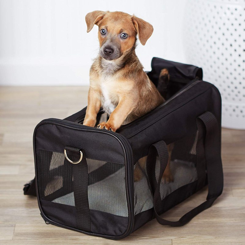 AMAZONBASICS Soft-Sided переноска