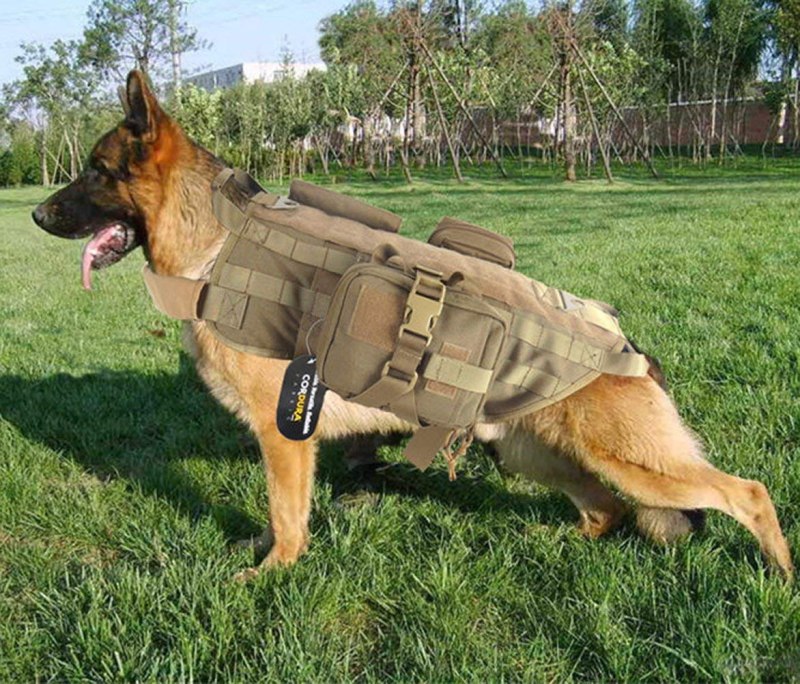 Тактический жилет k9