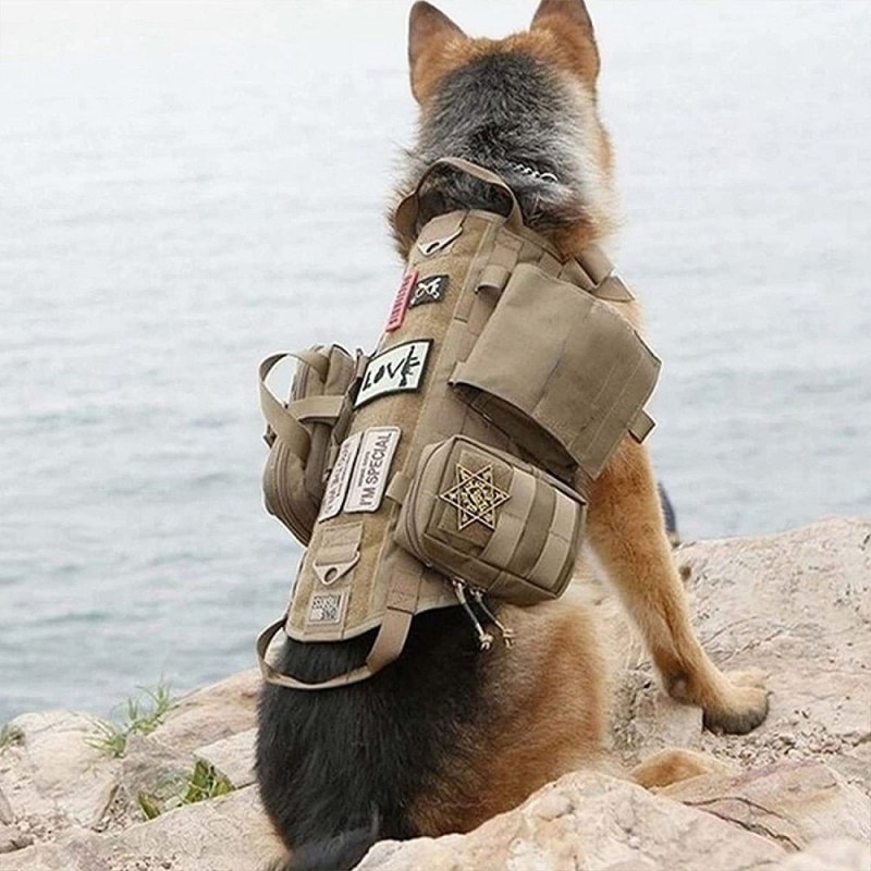 Жилет для собак SWAT