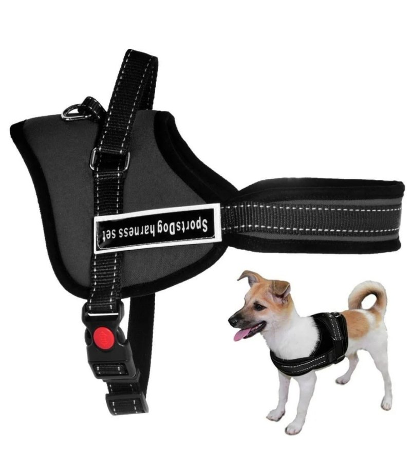 Шлейка для собак Sports Dog harness Set
