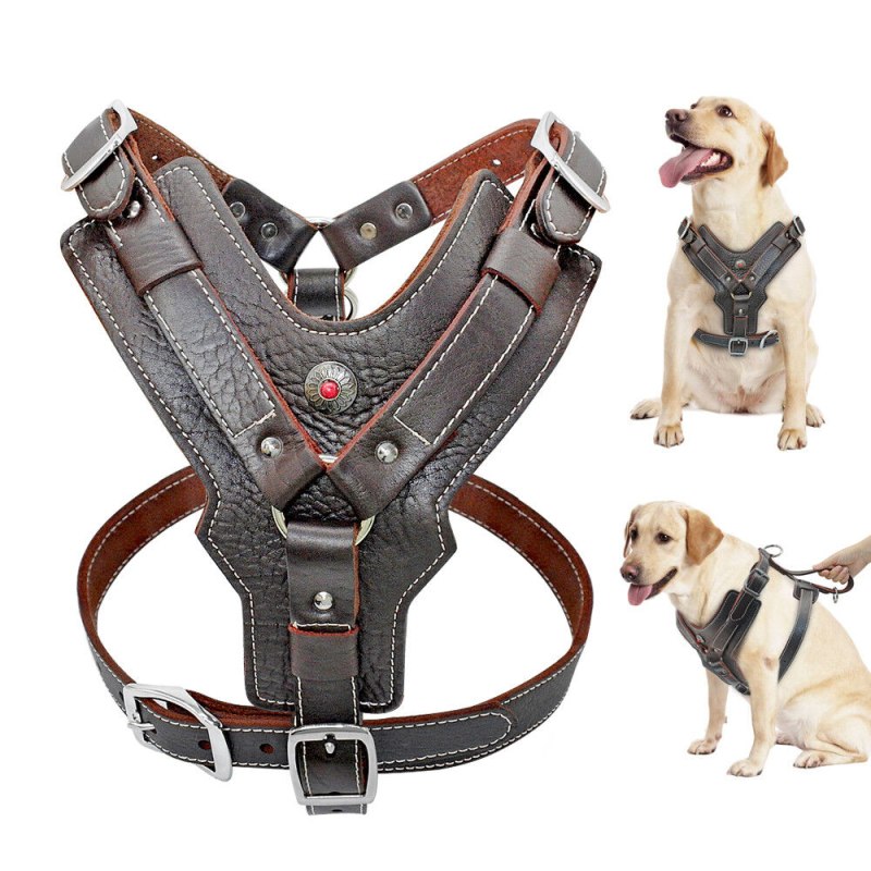 Шлейка для собак Refl Dog harness