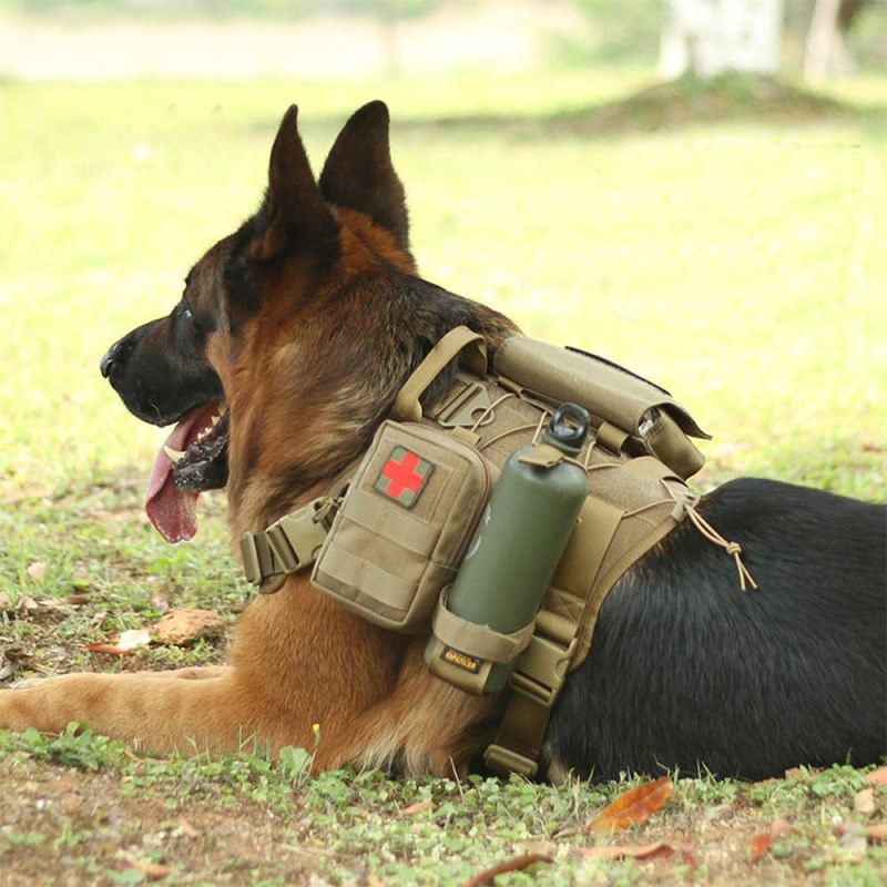 K9 Tactical Gear