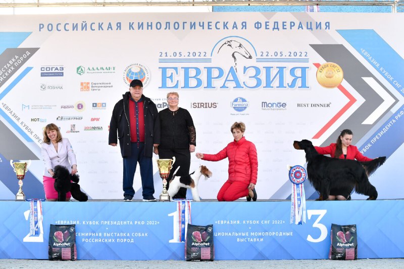 Евразия 2022 выставка собак