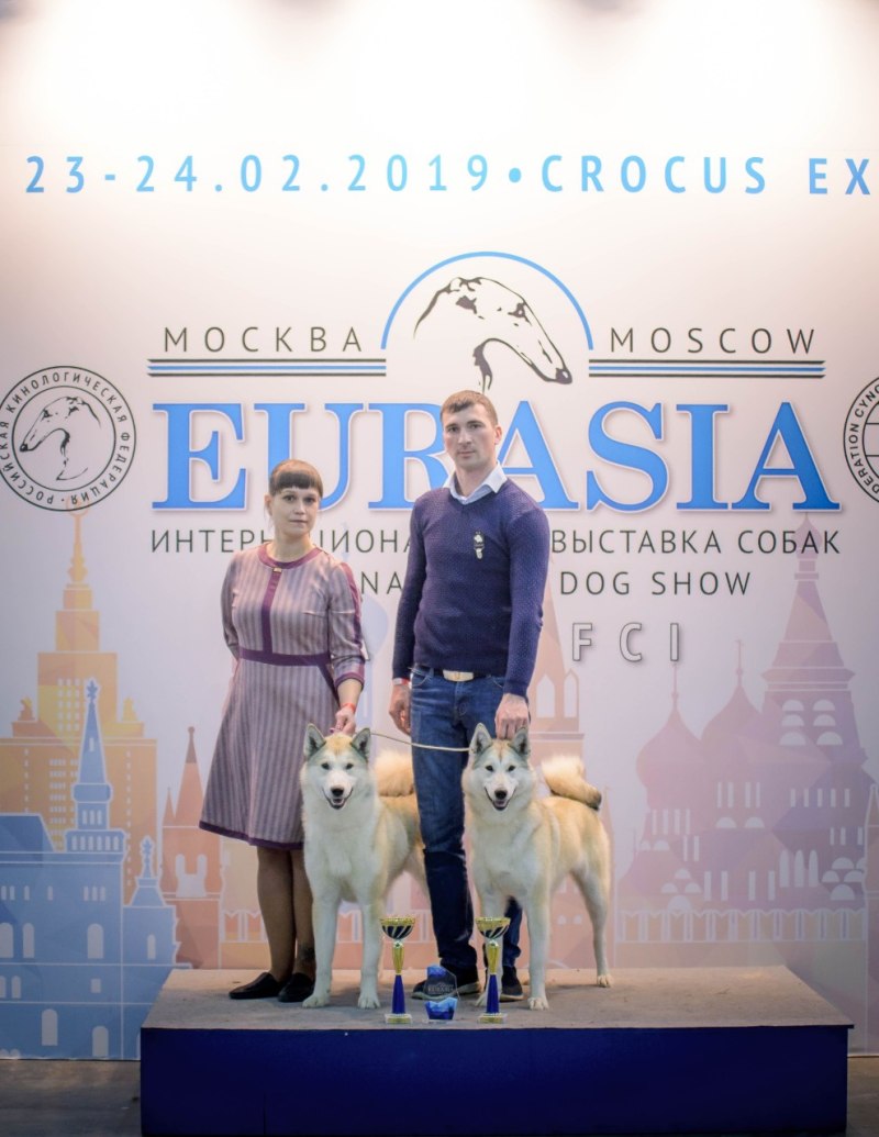 Евразия выставка собак
