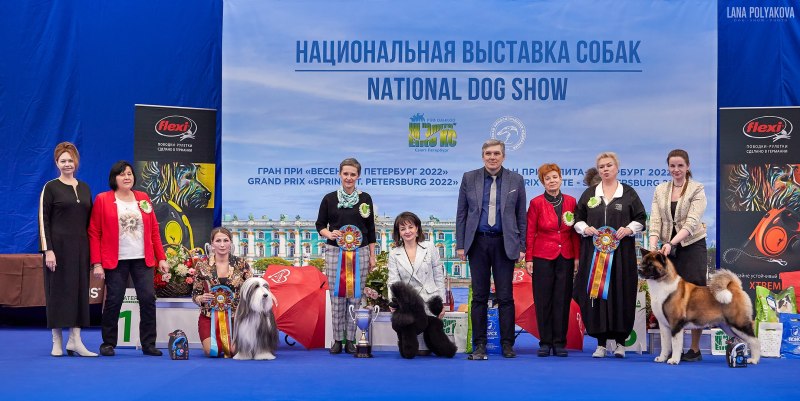 Выставка собак в СПБ 2022