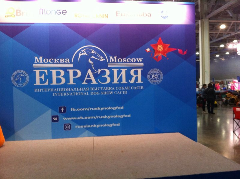 Выставка Евразия