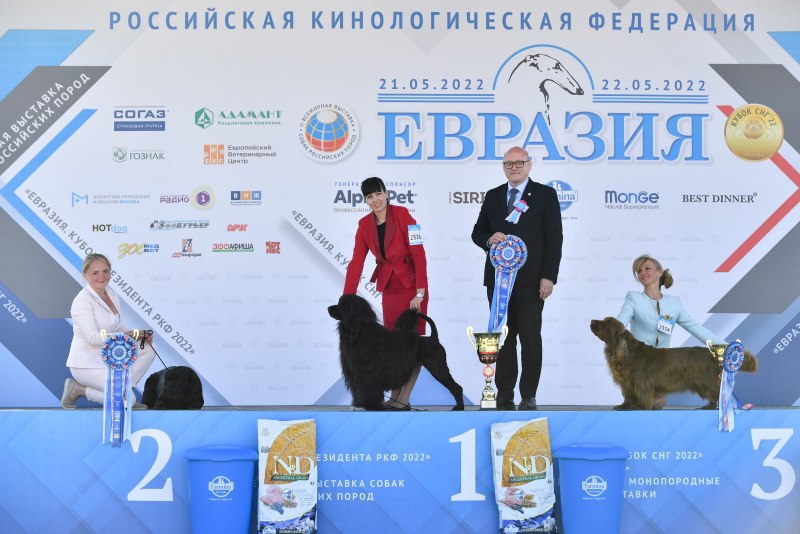 Евразия 2022 выставка собак