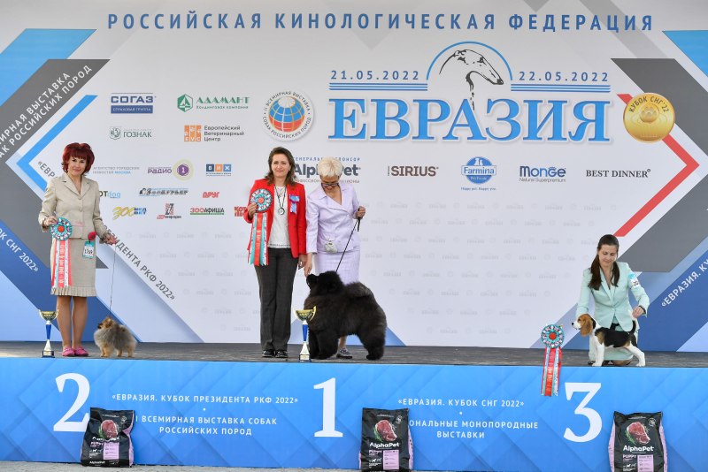 Евразия 2022 выставка собак
