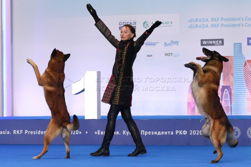 Евразия 2021 выставка собак