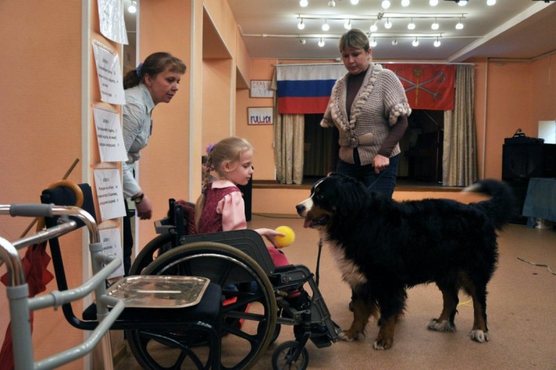 Собака Канис терапевт