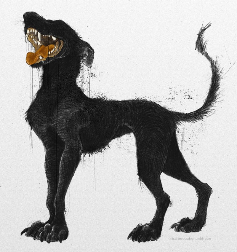 Пария псы