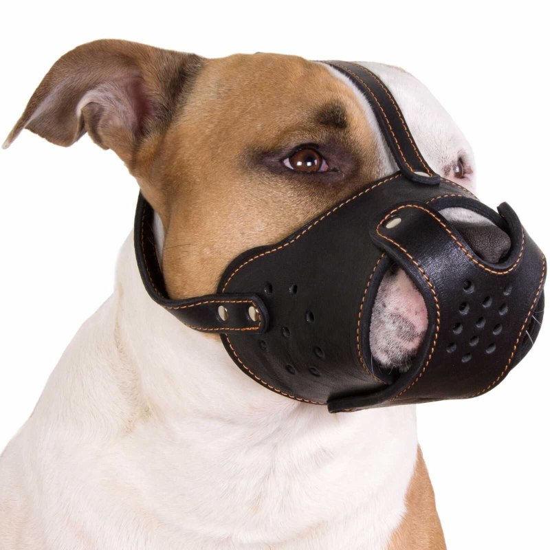 17611 Намордник Muzzle Flex, силикон, s, черный