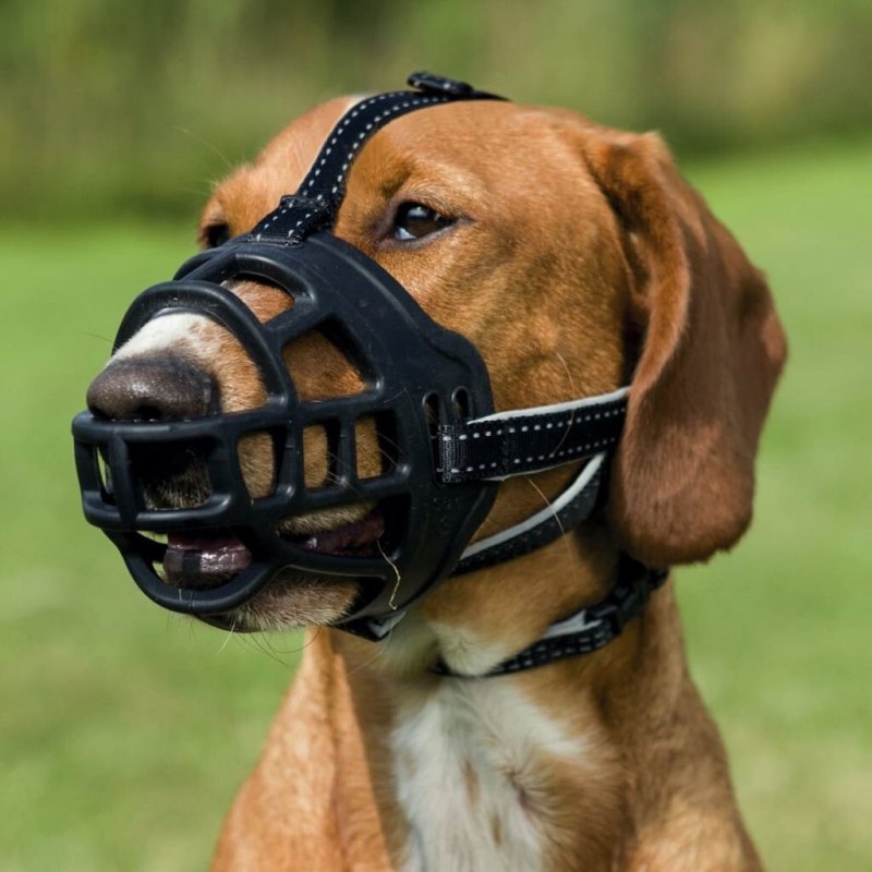 Намордник Muzzle Flex силикон