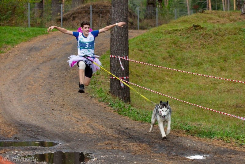 Ездовой спорт каникросс