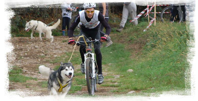 Dog_Trek.APK