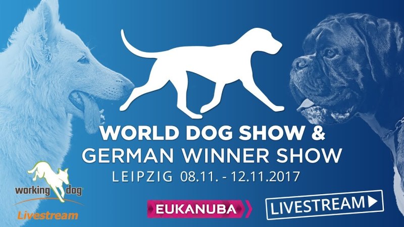 World Dog show 2017