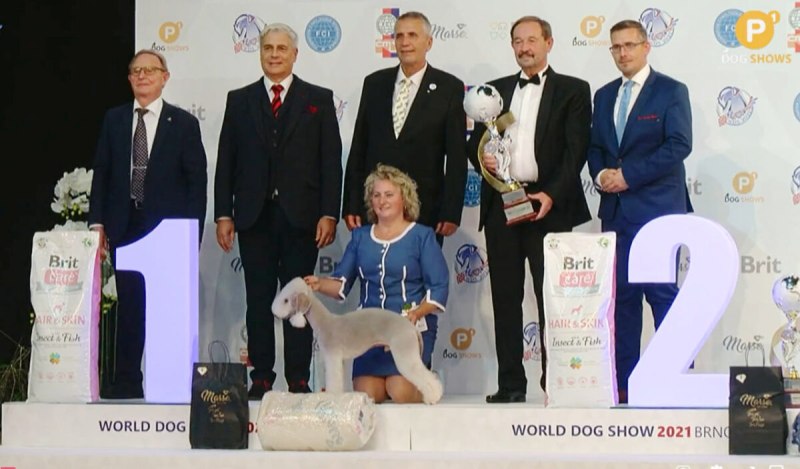 World Dog show 2021