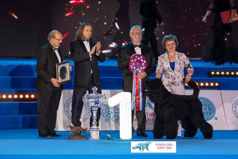 World Dog show 2016