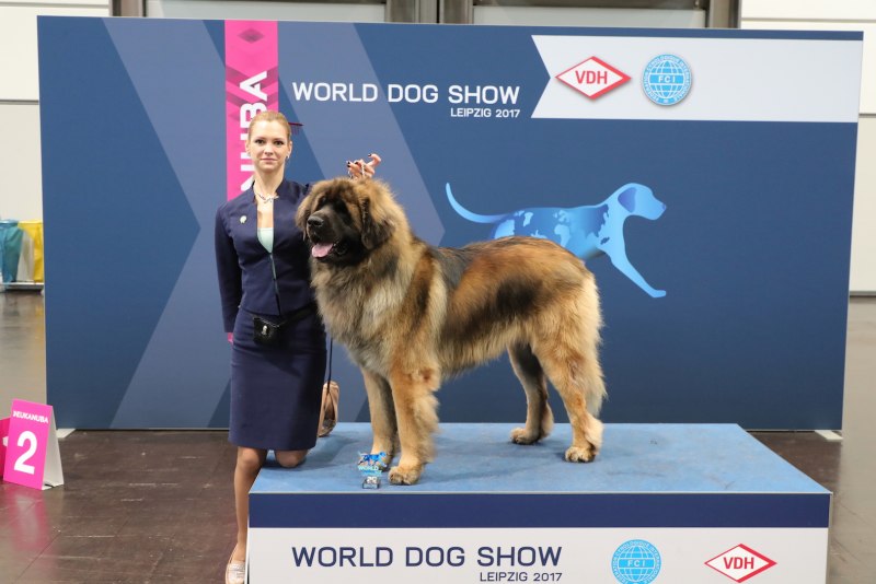 World Dog show 2017