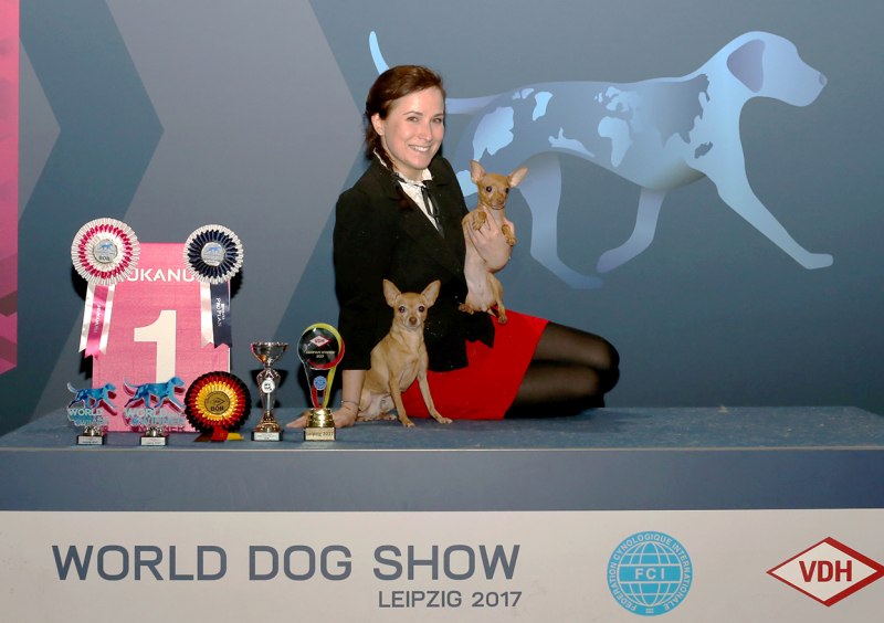 World Dog show 2017