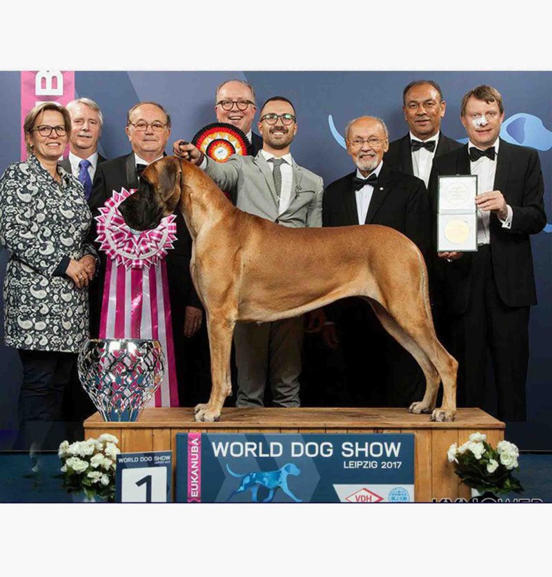 World Dog show 2018