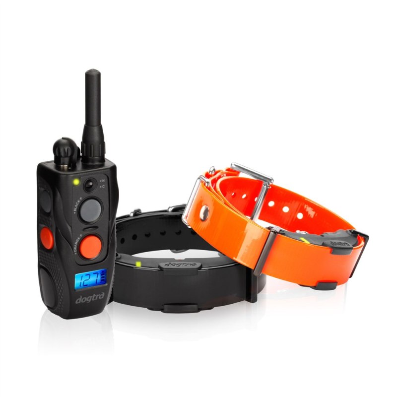 Dogtra Arc 800