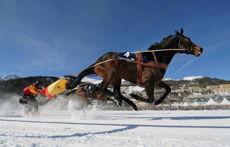 Skijoring скиджоринг