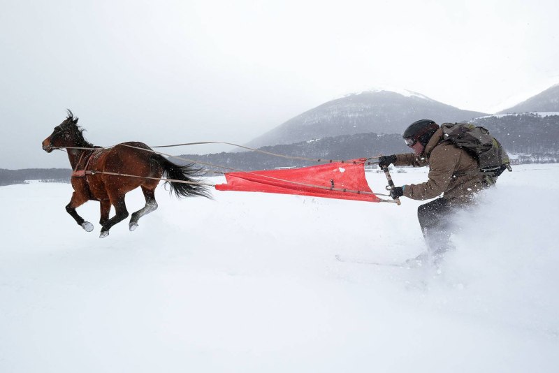 Skijoring скиджоринг